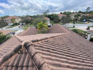 moldy roof needs to be chemically cleaned