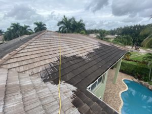 chemicals gently cleaning roof
